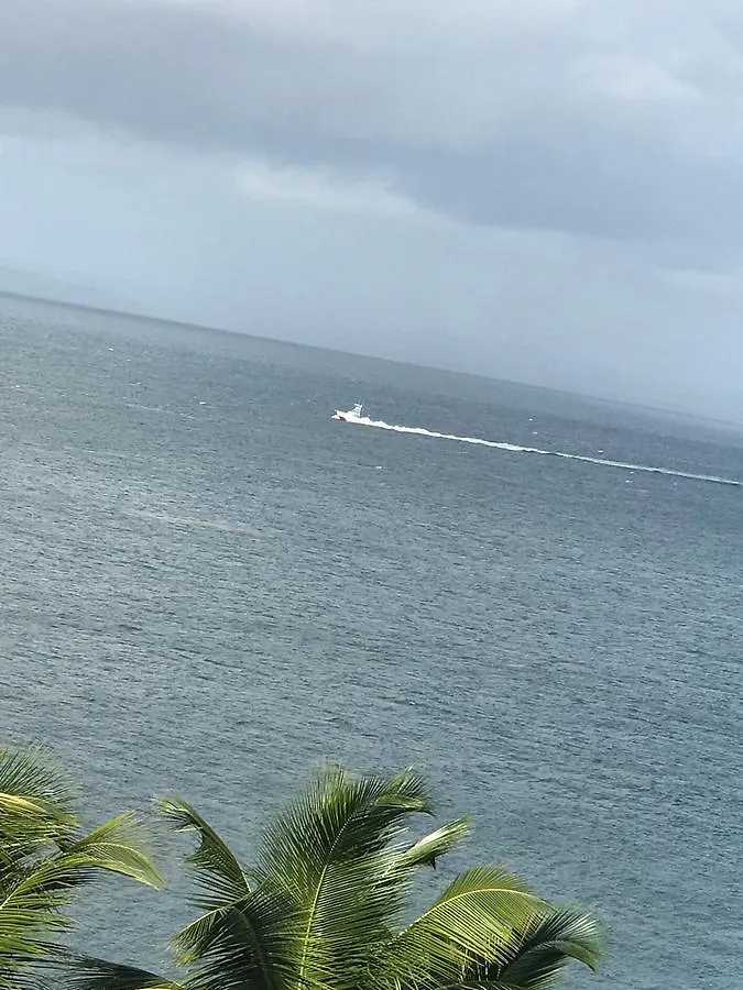 Vista Mare Spectacular Ocean View Top Floor 1-Bedroom Condo, Samana Aparthotel